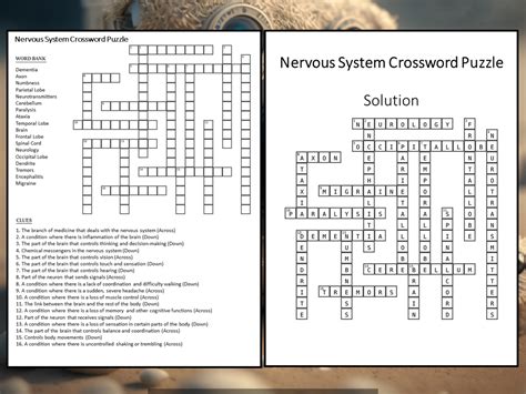 nervous state crossword clue.